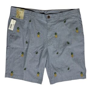 ROUNDTREE & YORKE Caribbean Blue & White Pinstripe Chino Shorts Pineapples sz 40